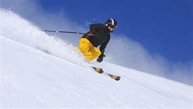 Image for: Bons plans saison