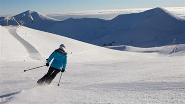 Image for: COURTES DURÉES